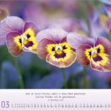 Blumen-Impressionen 2025 - Wandkalender