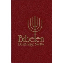 Bibel Norwegisch - Bibelen Nynorsk