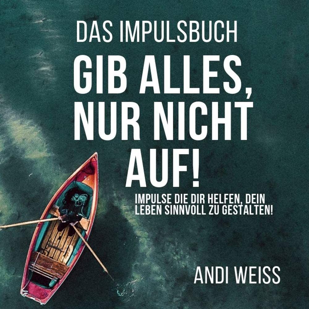 Gib alles, nur nicht auf! - Das Impulsbuch