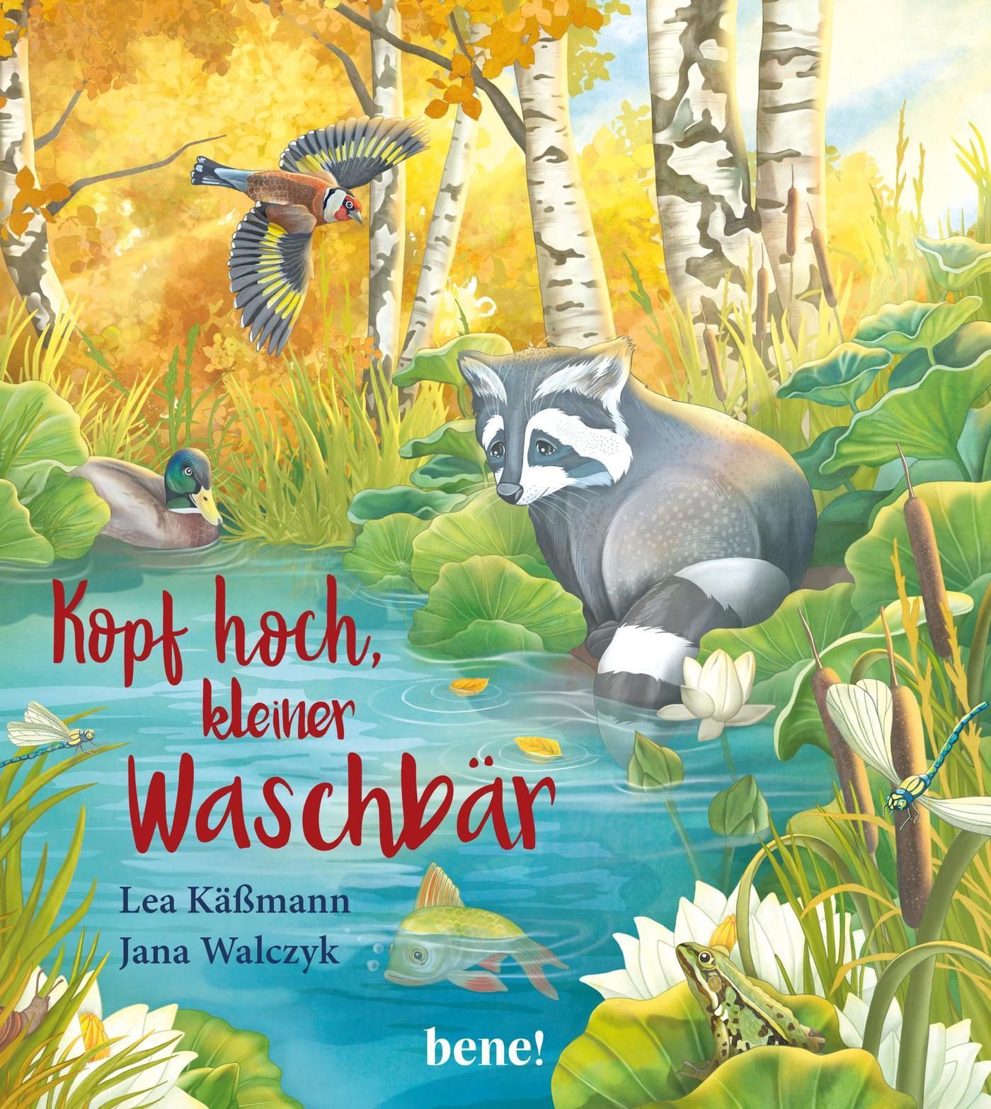 Kopf hoch, kleiner Waschbär