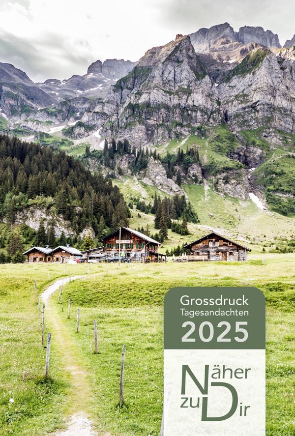 Näher zu Dir 2025 - Buchkalender Großdruck