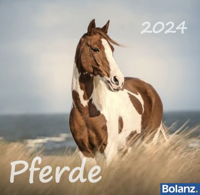 Pferde 2024