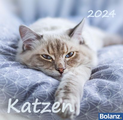 Katzen 2024