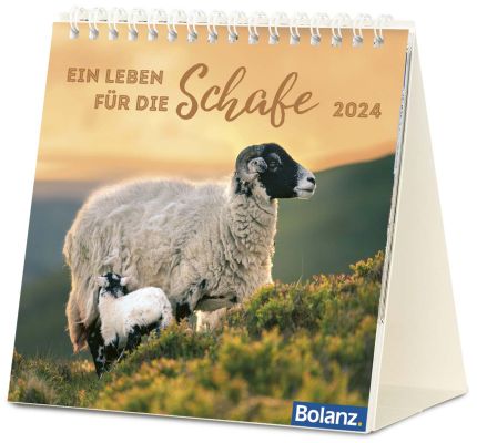 Ein Leben für die Schafe 2024