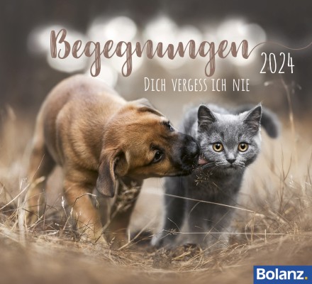 Begegnungen 2024