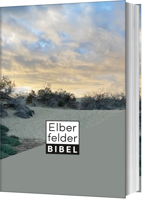 Elberfelder Bibel - Taschenausgabe, Motiv Dünen