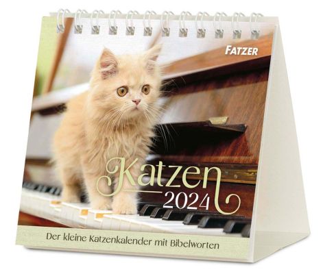 Katzen 2024