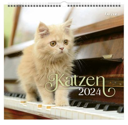 Katzen 2024