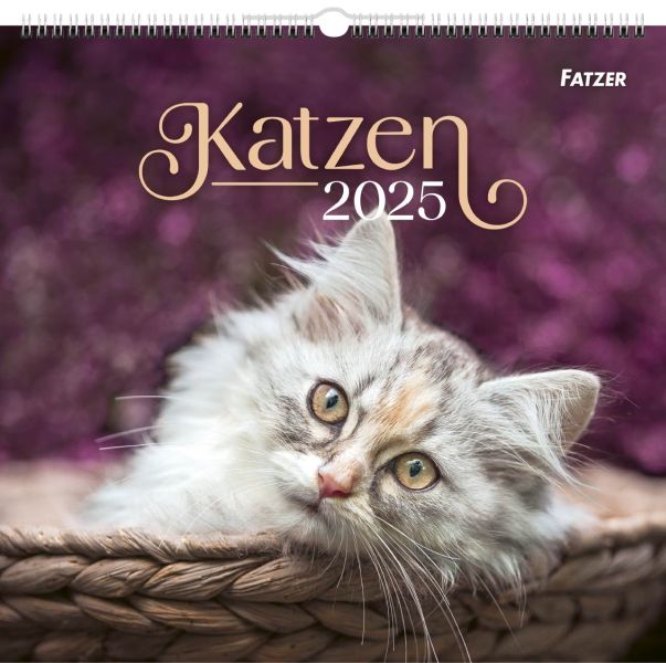 Katzen 2025 - Wandkalender