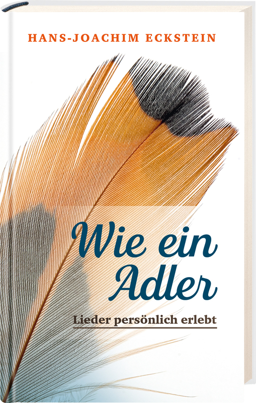 Wie ein Adler