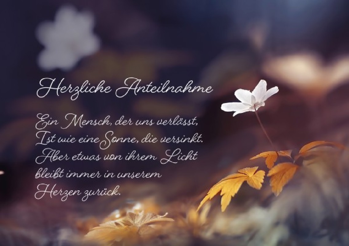 Herzliche Anteilnahme - Faltkarte