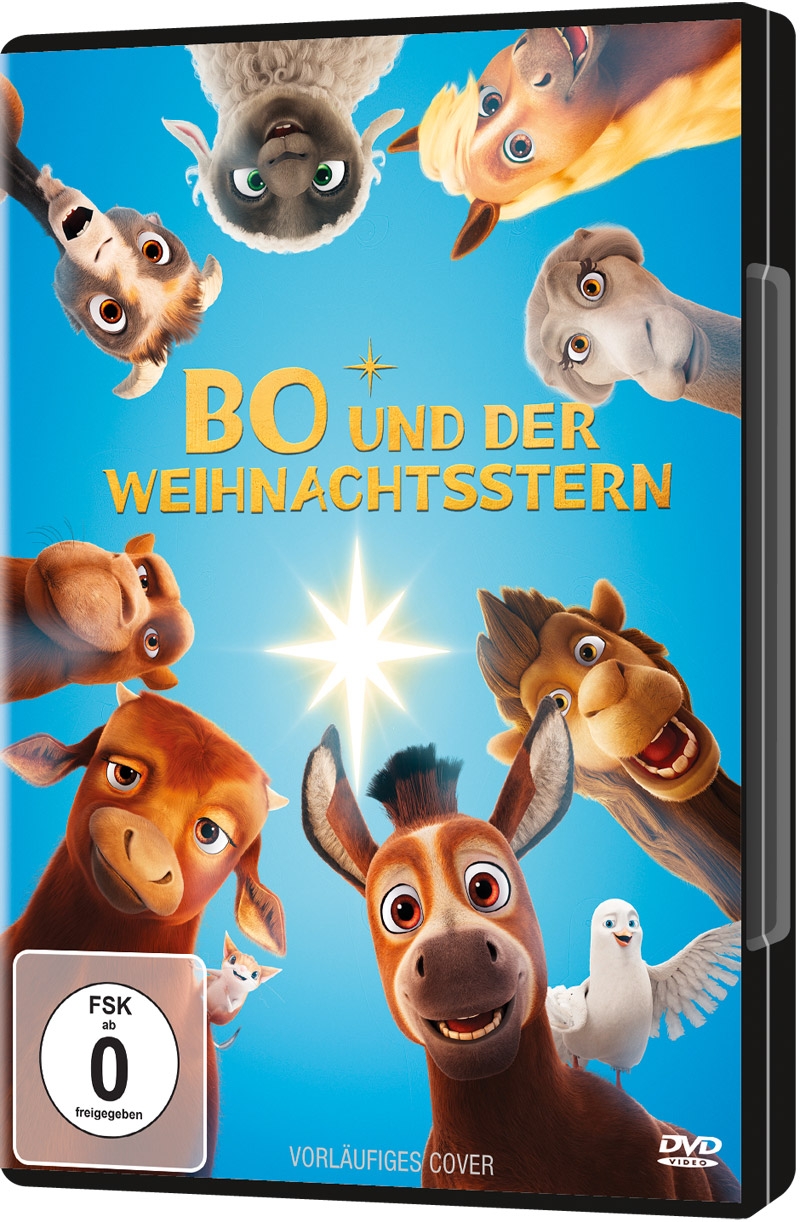 Bo und der Weihnachtsstern